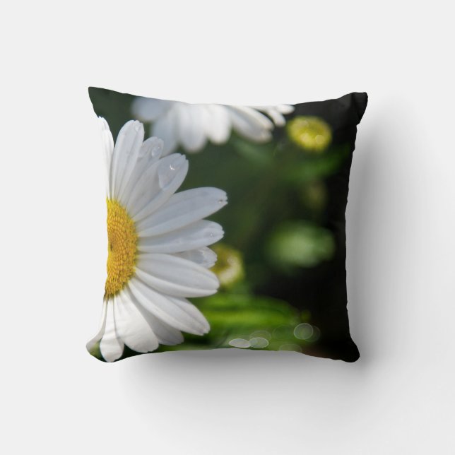 Daisy Water Droplets Kissen (Vorderseite)