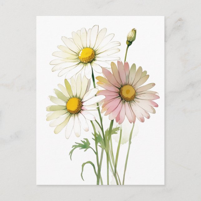Daisy Watercolor Blume Moderne Beruflich Postkarte (Vorderseite)