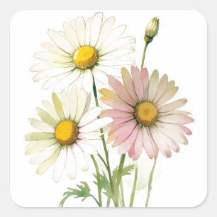 Daisy Watercolor Blume Moderne Beruflich Quadratischer Aufkleber