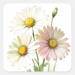 Daisy Watercolor Blume Moderne Beruflich Quadratischer Aufkleber