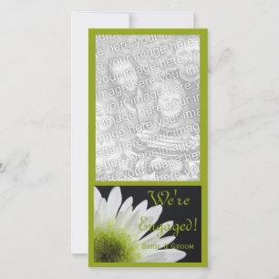 Daisy zur Ankündigung der Verlobung der Heirat