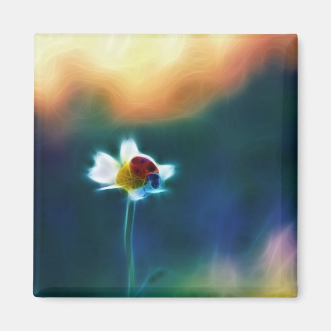 Daisybug Magnet (Vorne)