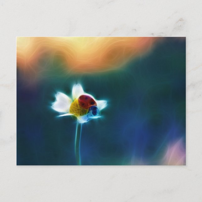 Daisybug Postkarte (Vorderseite)