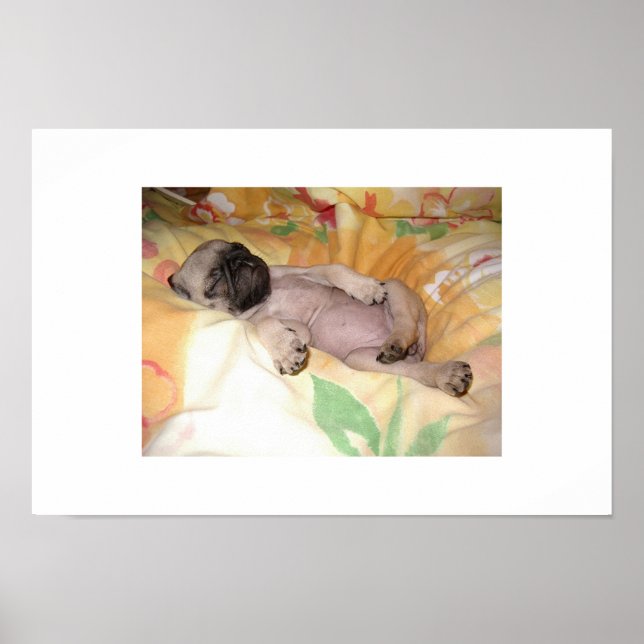 Daizzzzzy Poster (Vorne)