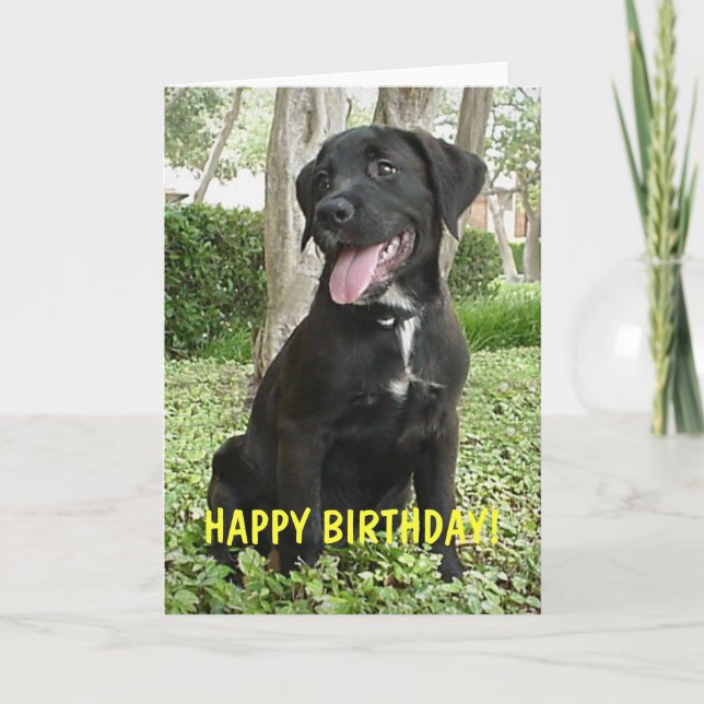 Dakota - Happy Birthday Card Karte (Vorderseite)
