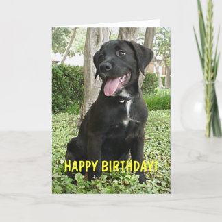 Dakota - Happy Birthday Card Karte