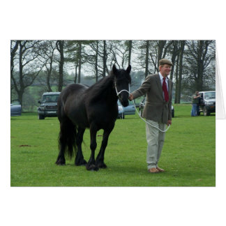 Dales Pony Card