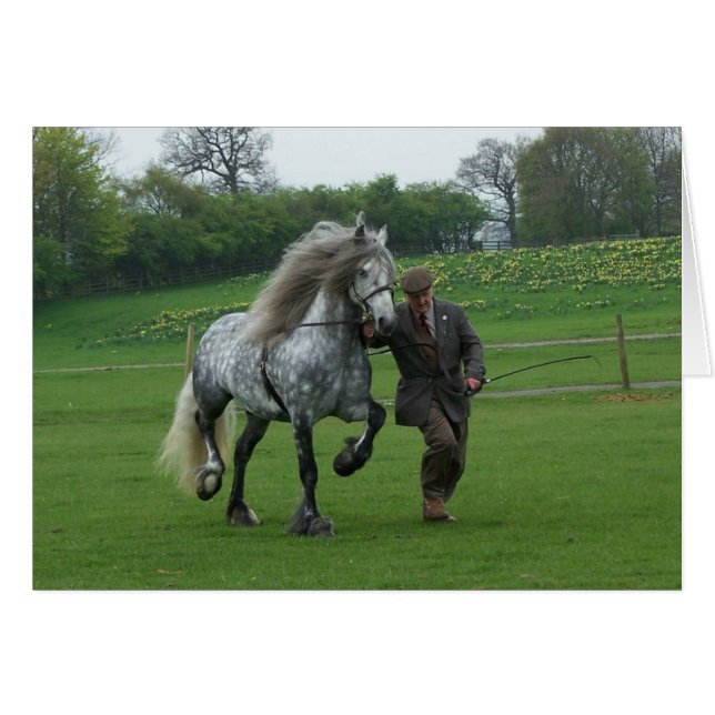 Dales Pony Card (Vorderseite (Horizontal))