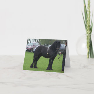 Dales Stallions-Mitteilungskarten Karte