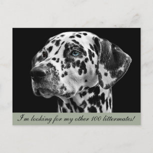Dalformation Hund Postkarte