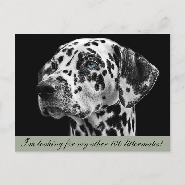 Dalformation Hund Postkarte (Vorderseite)