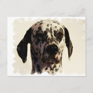Dalformation Hund Postkarte