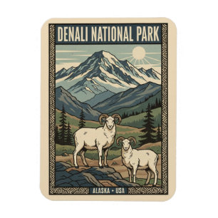 Dall-Schafe im Denali-Nationalpark Alaska Magnet