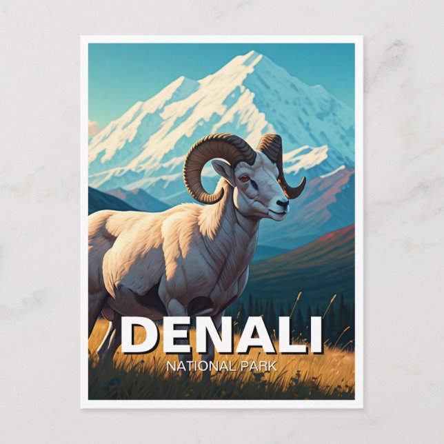 Dall Sheep in Denali Nationalpark Alaska Postkarte (Vorderseite)