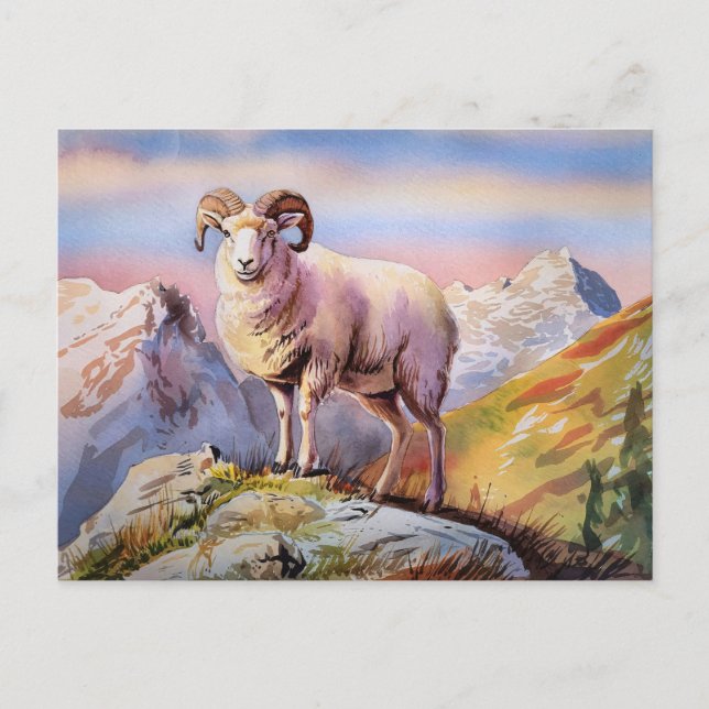 Dall Sheep Ram auf einem majestätischen Berg Postkarte (Vorderseite)