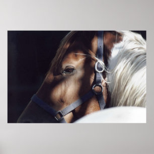 Dallas-Druck Poster