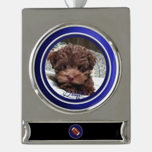 Dallas Hund Fan  Anpassbar Banner-Ornament Silber