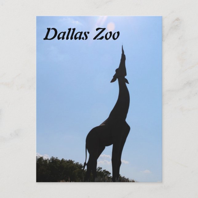 Dallas-Zoo Postkarte (Vorderseite)