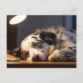 DALMATIAN DOG SLEEPING POSTCROSSING POSTKARTE