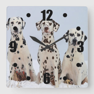 Dalmatian Family Portrait Quadratische Wanduhr