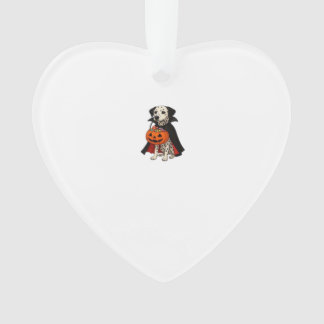 Dalmatian Halloween Vampire Dog with Pumpkin Baske