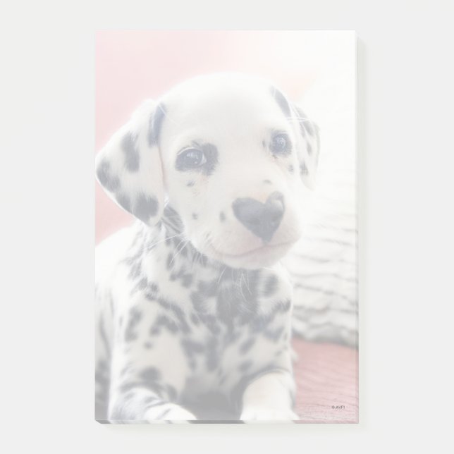 Dalmatian Heart Nose Post-it Klebezettel (Vorderseite)