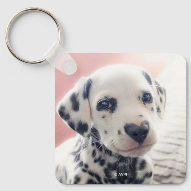 Dalmatian Heart Nose Schlüsselanhänger (Vorderseite)
