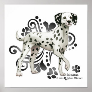 Dalmatian Poster
