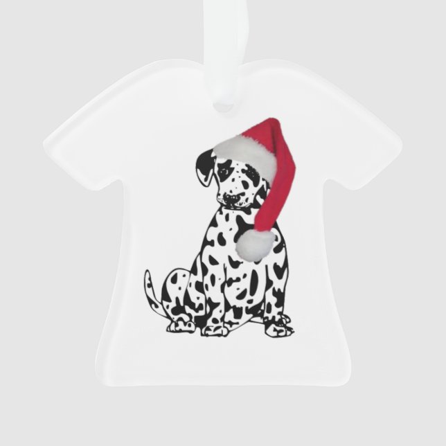 Dalmatie de Noël (devant)