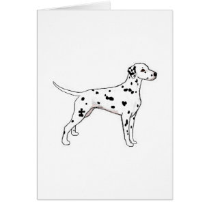 Dalmatien à pointes noires