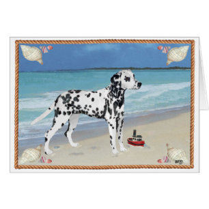 Dalmatien au bord de la mer