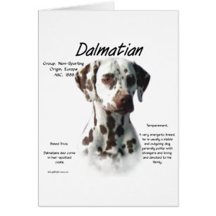 Dalmatien (foie) Conception de l'histoire