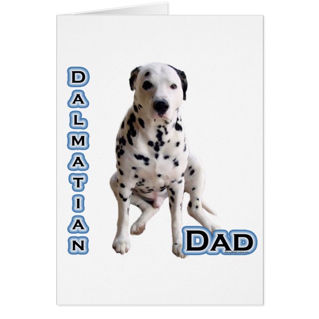 Dalmatien Papa 4 (Devant)