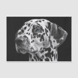 Dalmatinenhund Schwarz-Weiß-Decoupage Seidenpapier