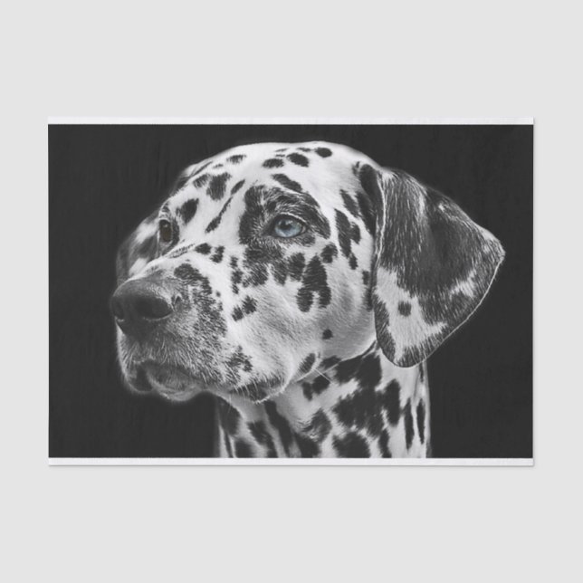 Dalmatinenhund Schwarz-Weiß-Decoupage Seidenpapier (Vorderseite)