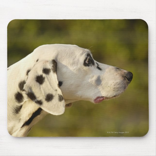 DALMATINER 4 MOUSEPAD (Vorne)