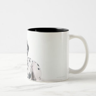 Dalmatiner 4 zweifarbige tasse