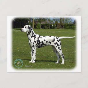 Dalmatiner 9T085D-119 Postkarte