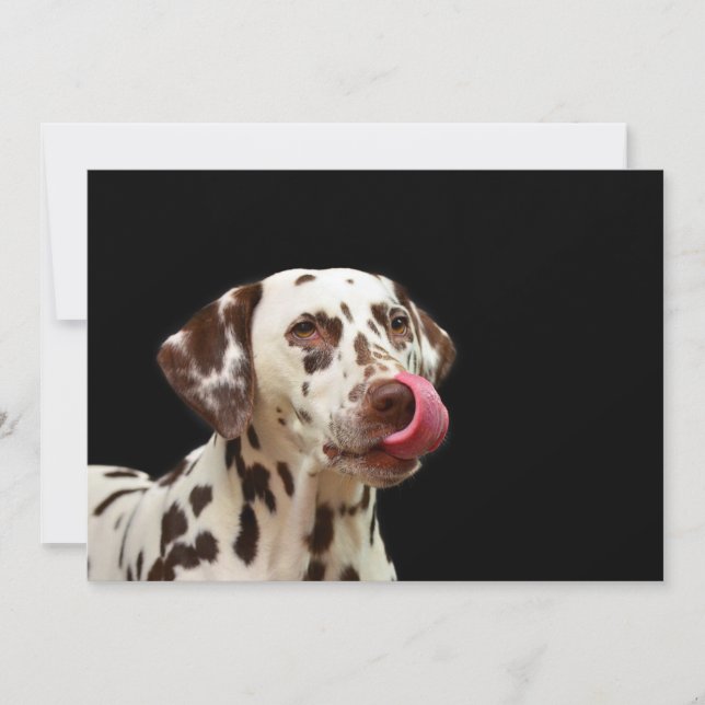 Dalmatiner Dankeskarte (Vorderseite)