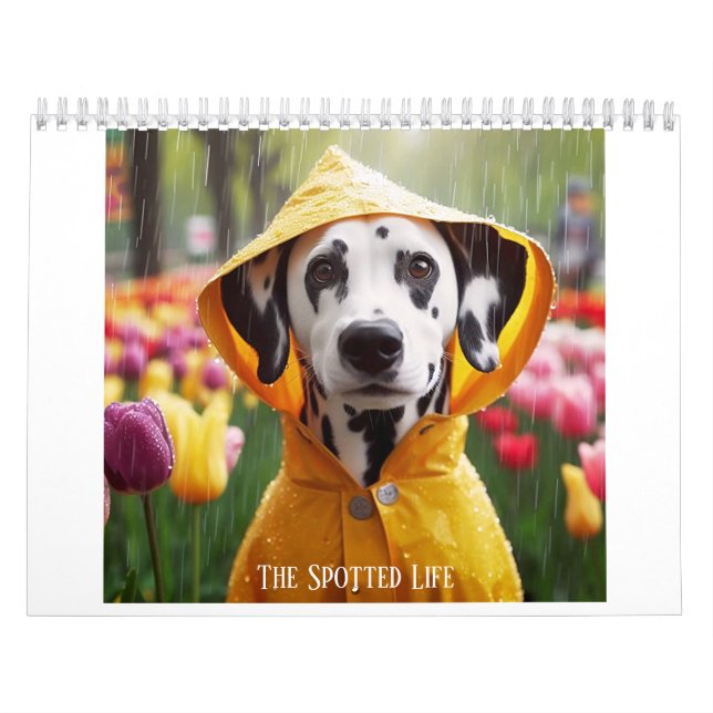 Dalmatiner Das Gepunktete Leben Kalender (Titelbild)