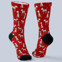 Dalmatiner Dog Red