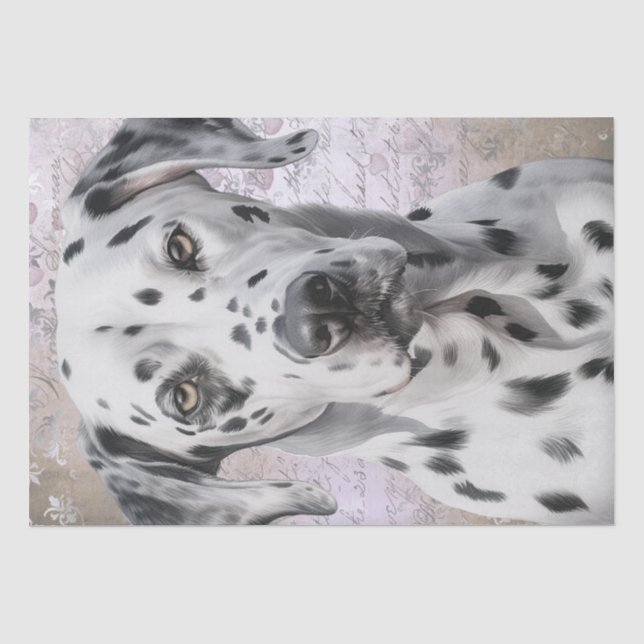 Dalmatiner Dog Seidenpapier (Vorderseite)