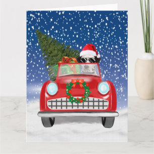 Dalmatiner fährt Auto im Schnee Weihnachten Karte