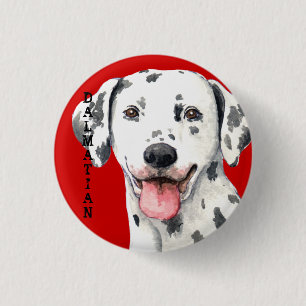 Dalmatiner-Farbblock Button