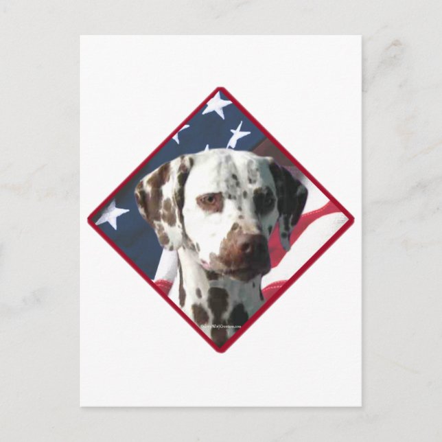 Dalmatiner Flag 2 Postkarte (Vorderseite)