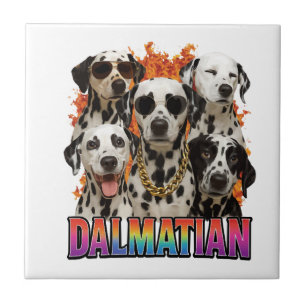 Dalmatiner Fliese