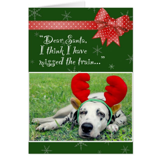 Dalmatiner-Fräulein The Train Green (Vorne)