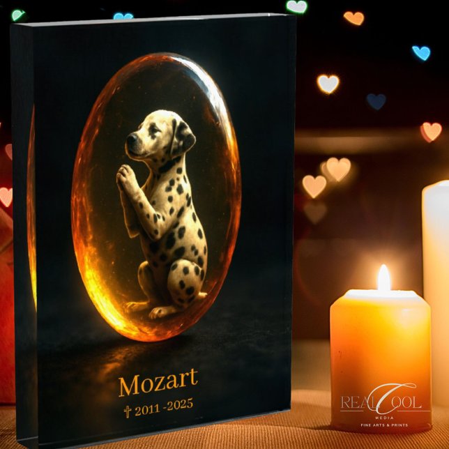 Dalmatiner-Gedenkfoto-Block Fotoblock (Von Creator hochgeladen)