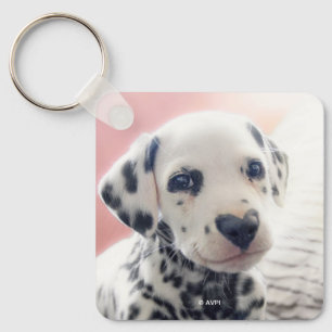 Dalmatiner-Herznase Schlüsselanhänger