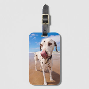Dalmatiner-Hund auf Strand Gepäckanhänger